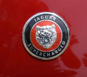 Jaguars West