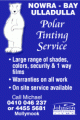 Polar Tinting Service