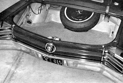 Buick Electra Trunk