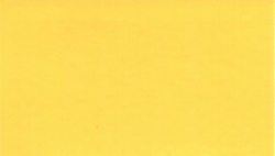 1989 GM Yellow