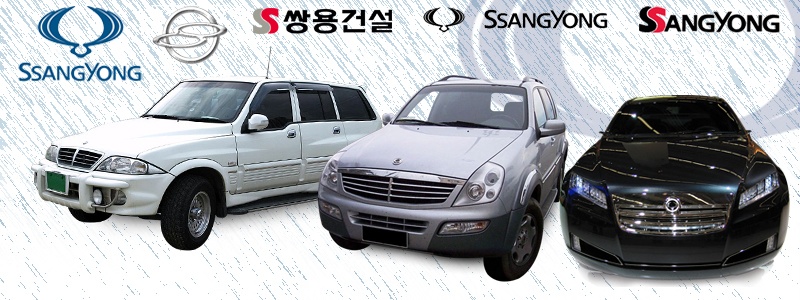 SsangYong Paint Chart Color Reference Index