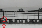 Decorative grill of the main radiator (front bumpe