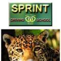 Sprint Driving School