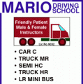Mario Driving School