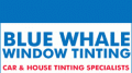 Blue Whale Window Tinting