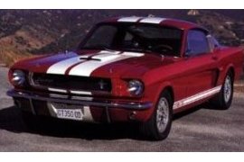 Ford Mustang Race 1
