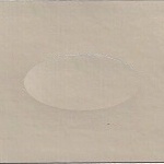 2001 Ford Ivory