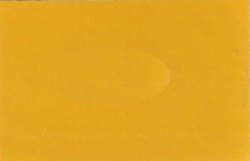 2007 Nissan Yellow