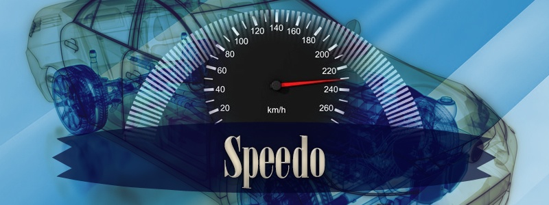 How It Works: Speedo